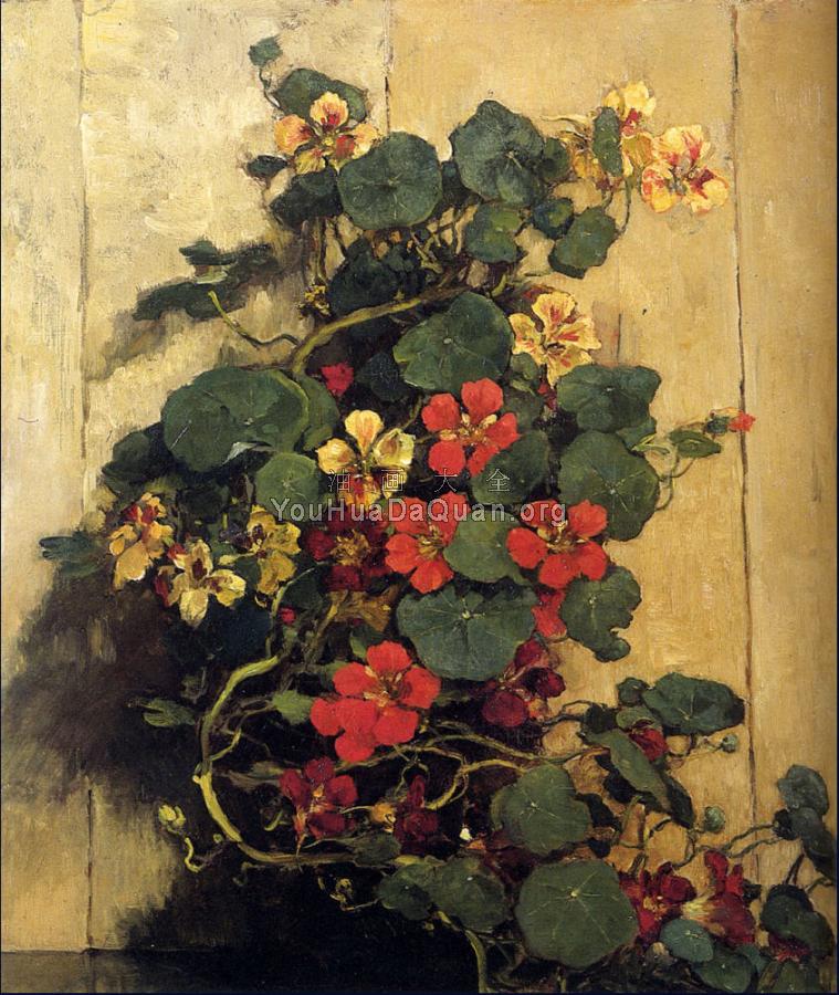 印度水芹 - 约翰内斯·埃弗特·艾克林格